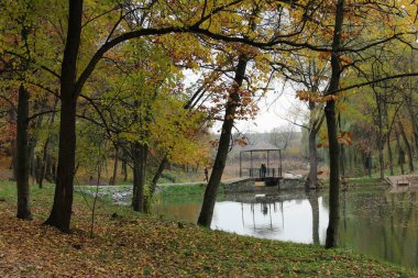 Yeşil Göl Parkı 'nda, Seattle' da Sonbaharda.
