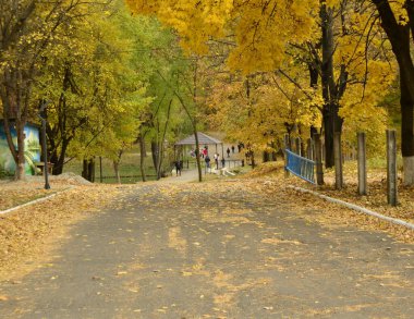 Parktaki sokak parlak turuncu yapraklarla dolu. Parkta güneşli bir sonbahar günü.