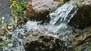 Saf dağ suyu dingin bir ormanda ağaçların ve kayaların arasından akıyor.