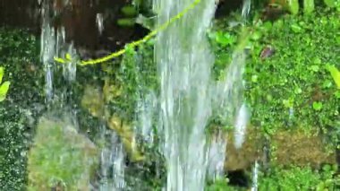 Yumuşak bir çağlayan su, canlı yeşilliğin önünden akıyor. Doğada taze ve rahatlatıcı bir his uyandırıyor..