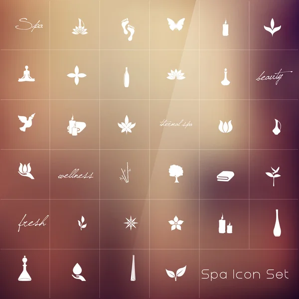 Varios iconos SPA — Vector de stock