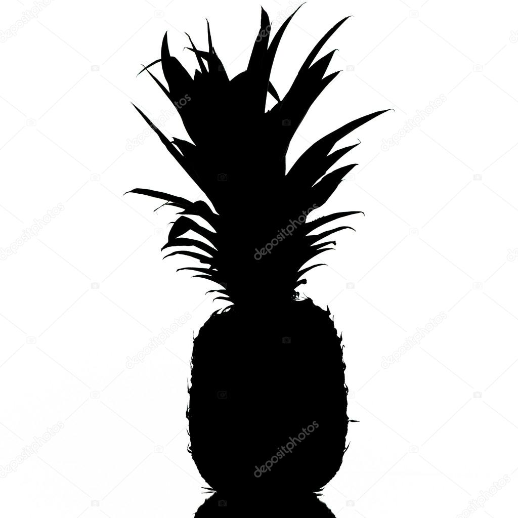 Pineapple Silhouette Stock Photo Image By C Sharpshutter Pineapple Silhouette Stock Photo Image By C Sharpshutter