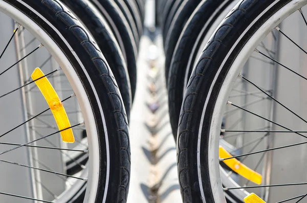 Велосипедные шины — стоковое фото