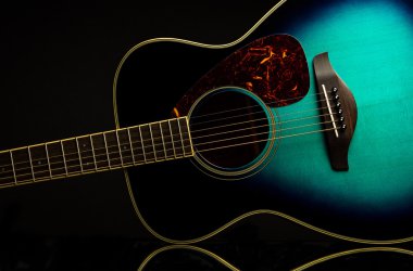 Yansıması ile yeşil gitar