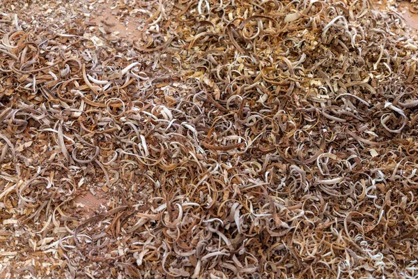 Wood sawdust and wood shavings on the floor in a carpentry workshop. Wood processing