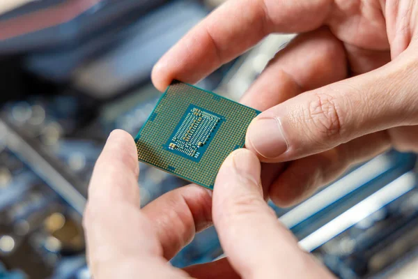 PC central processor chip in the hands of a technician against the background of a blurred motherboard. Computer parts. PC assembly and upgrade concept