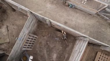 Sokak köpekleri için hava manzaralı bir barınak.