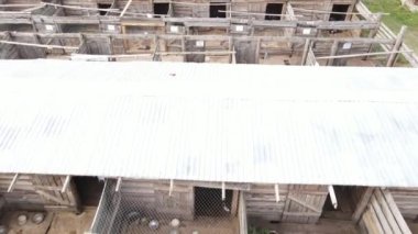 Barınaktaki köpekler. Hava görüntüsü yavaş çekim