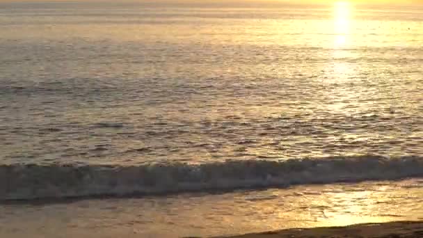 아름다운 경치: 해변 근처 바다 위로 해 가지다 — 비디오