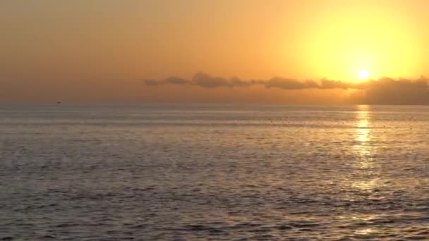 Piękny morski krajobraz: Słońce nad morzem w pobliżu brzegu — Wideo stockowe