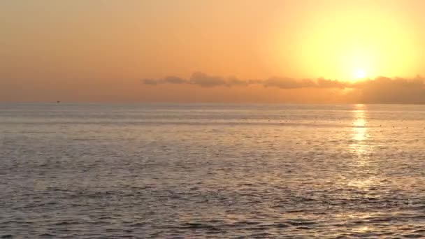 Prachtige zeegezicht: Zon boven de zee bij de kust — Stockvideo