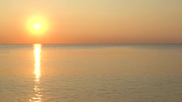 Prachtige zeegezicht: Zon boven de zee bij de kust — Stockvideo