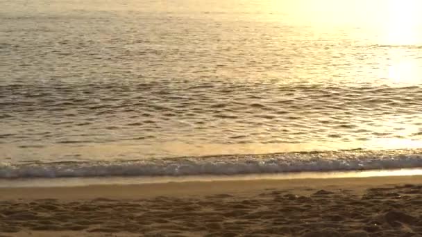 Nahaufnahme der Küste am Strand — Stockvideo