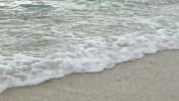 Közelkép a tengerpartról a parton — Stock videók