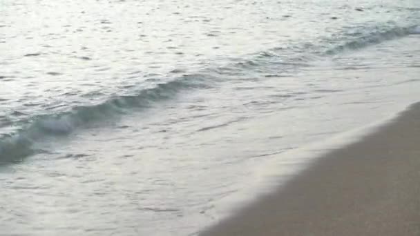 Nahaufnahme der Küste am Strand — Stockvideo