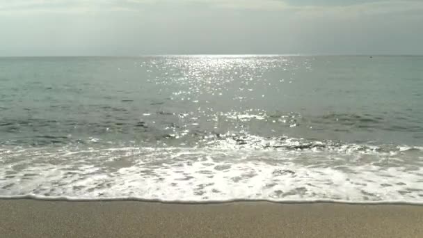 Detailní záběr na pobřeží na pláži — Stock video
