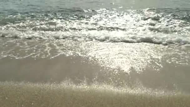 Крупним планом узбережжя на пляжі — стокове відео