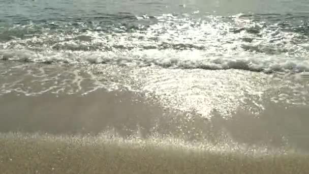 Primer plano de la costa en la playa — Vídeos de Stock