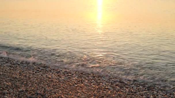 Närbild av havsstranden på stranden — Stockvideo