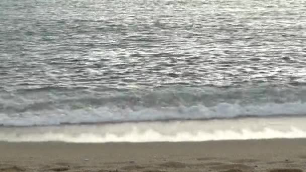 Nahaufnahme der Küste am Strand — Stockvideo