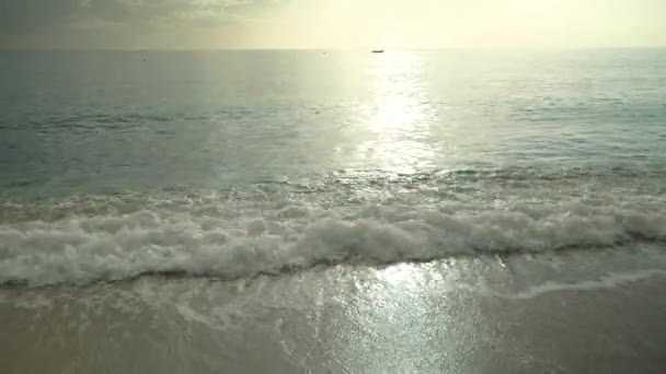 Primer plano de la costa en la playa — Vídeos de Stock