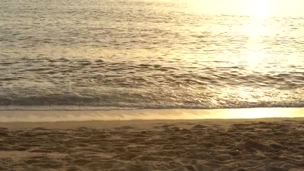 Nahaufnahme der Küste am Strand — Stockvideo