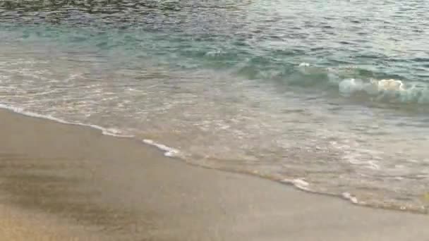 Nahaufnahme der Küste am Strand — Stockvideo