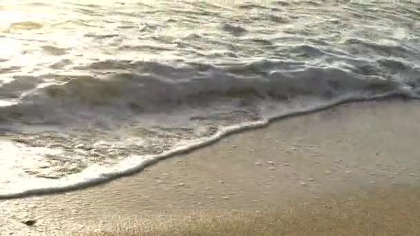 Крупный план побережья на пляже — стоковое видео