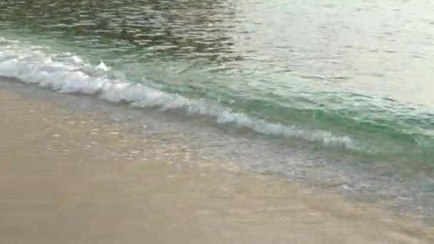 Nahaufnahme der Küste am Strand — Stockvideo