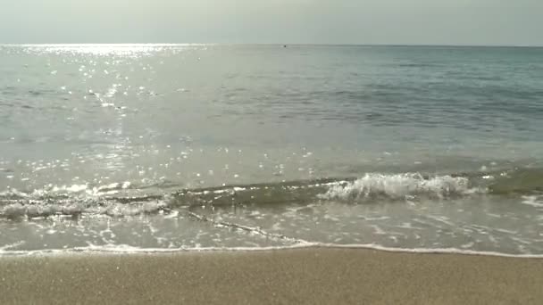Detailní záběr na pobřeží na pláži — Stock video