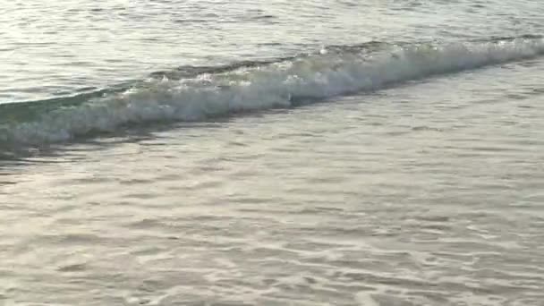 ビーチでの海岸のクローズアップ — ストック動画