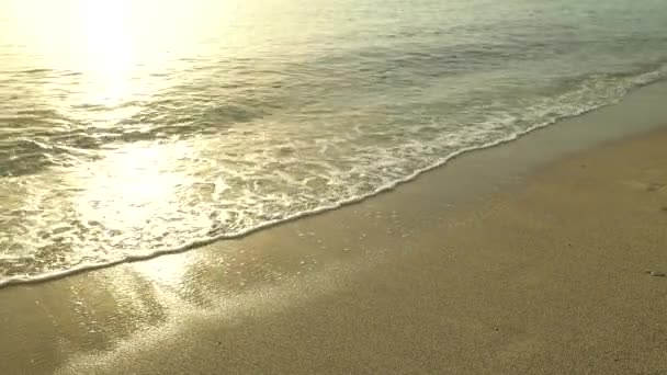 Nahaufnahme der Küste am Strand — Stockvideo