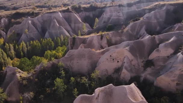 Cappadocia táj légi kilátás. Törökország. Goreme Nemzeti Park — Stock videók