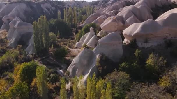 Cappadocië landschap uitzicht vanuit de lucht. Turkije. Nationaal park Goreme — Stockvideo