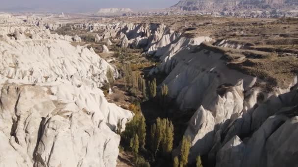 Cappadocia landscape aerial view. Turkey. Goreme National Park — Stock Video