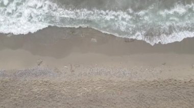 Sahildeki tatil köyünde. Hindi. Yavaş çekim