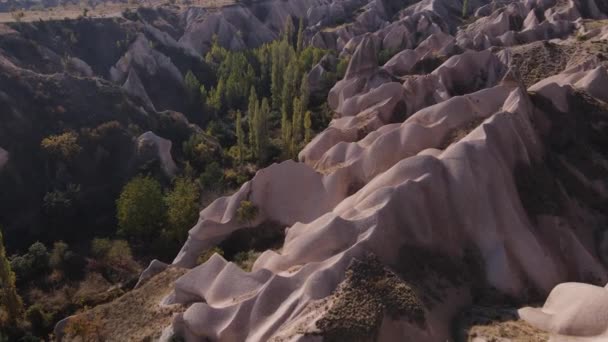 Luchtfoto van het landschap van Cappadocië. Turkije. Nationaal park Goreme. Langzame beweging — Stockvideo