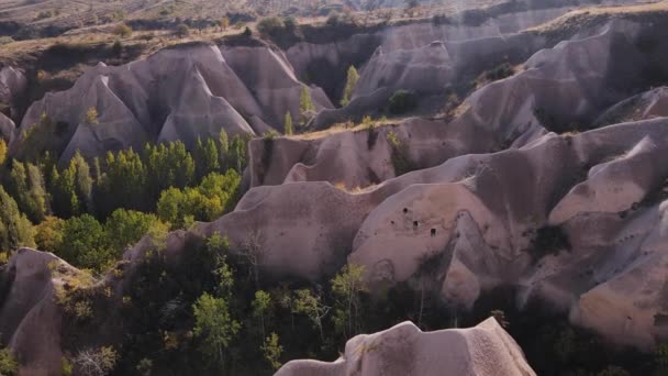 Luchtfoto van het landschap van Cappadocië. Turkije. Nationaal park Goreme. Langzame beweging — Stockvideo