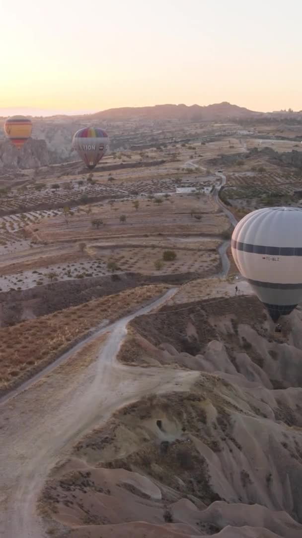 Vertikales Video - Ballons in Kappadokien, Türkei. — Stockvideo