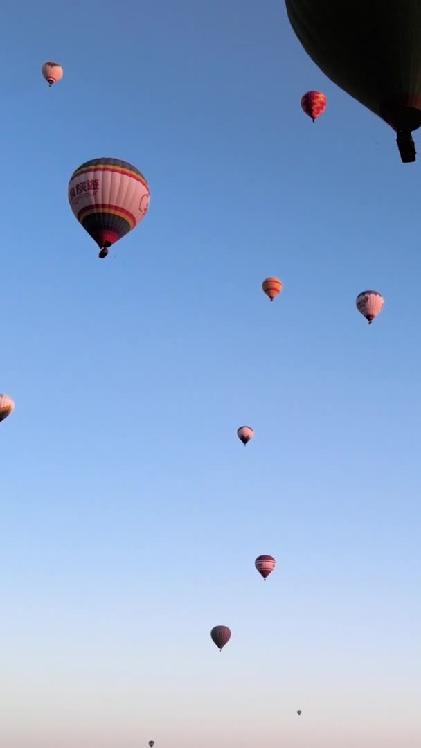 Vertikal video Balon di Cappadocia, Turki. — Stok Video