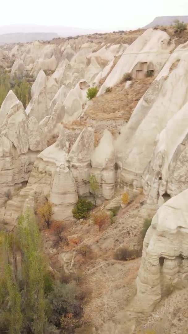 Verticale video Cappadocië landschap luchtfoto. Turkije. Nationaal park Goreme — Stockvideo