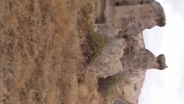 垂直视频Cappadocia景观空中视图。土耳其。Goreme国家公园 — 图库视频影像