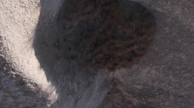 Dikey video Cappadocia manzara havası. Hindi. Goreme Ulusal Parkı