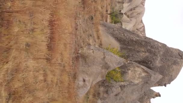 Vertikal video Cappadocia landskap antenn vy. Turkiet. Goreme National Park — Stockvideo