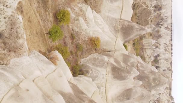 Vidéo verticale Cappadoce paysage vue aérienne. La Turquie. Parc national de Goreme — Video