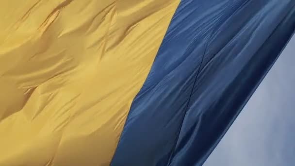 Вертикальне відео Національний прапор України. Вид з повітря. — стокове відео