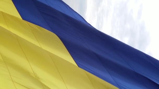 Vertical video National flag of Ukraine. Aerial view. — Stock Video