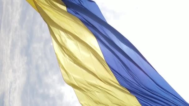 Vertical video National flag of Ukraine. Aerial view. — Stock Video