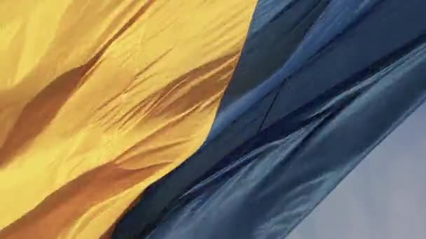 Lodret video Ukraines nationale flag. Luftfoto. – Stock-video