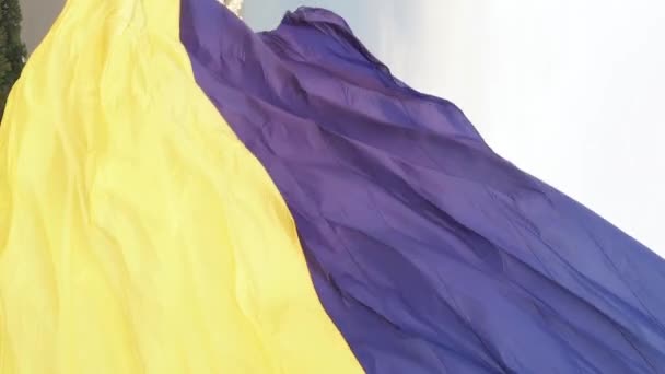 Vidéo verticale drapeau national de l'Ukraine. Vue aérienne. — Video